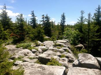 Mile 31 boulder hopping