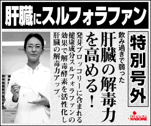 Kagome23_A_300x250_120530