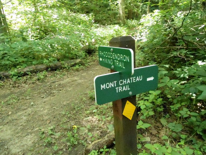 Steep trail to the lake.