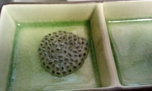 Boiled Basil Seeds