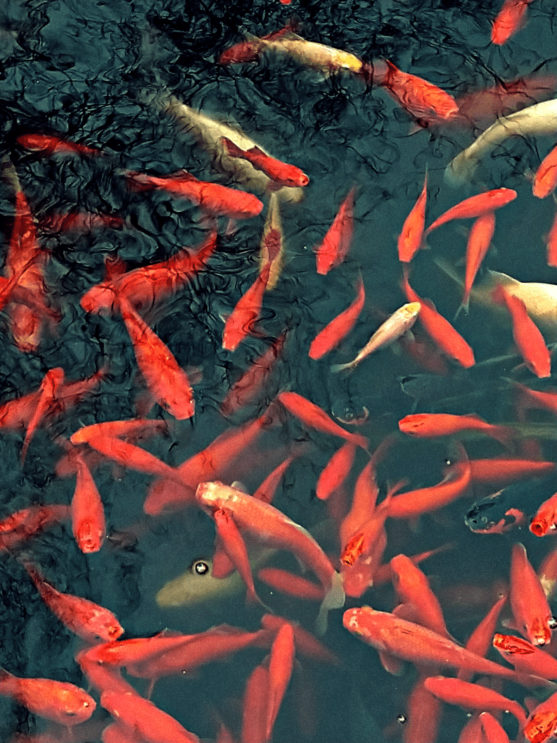 IMG_20181228_123350_1546039909307